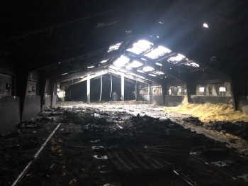 Incendio en nave avícola