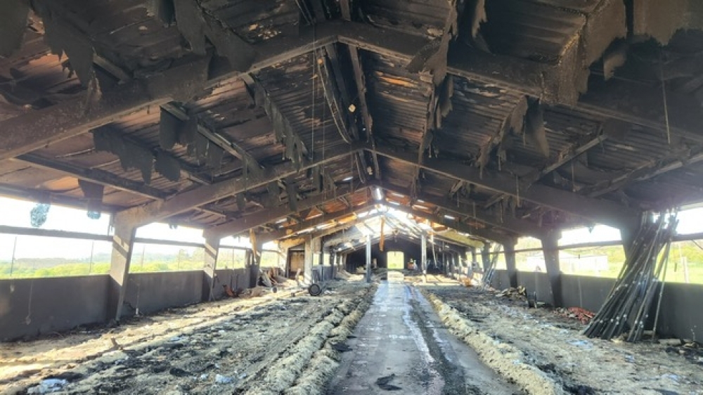 INCENDIO EN NAVE AVíCOLA 